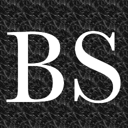 [Blagdon Spires Limited Logo]